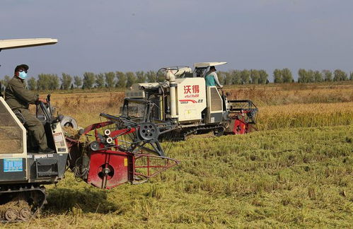 推廣農業機械化技術對農業可持續發展的作用