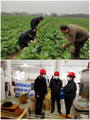 科技助農(nóng)穩(wěn)生產(chǎn)，服務(wù)下鄉(xiāng)促春耕——市農(nóng)技推廣中心積極開(kāi)展春耕備耕指導(dǎo)工作