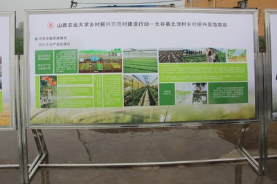 園藝學(xué)院春菜品種展示交流會(huì) 科技賦能農(nóng)業(yè)，創(chuàng)新引領(lǐng)未來(lái)